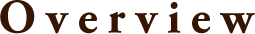 Overview